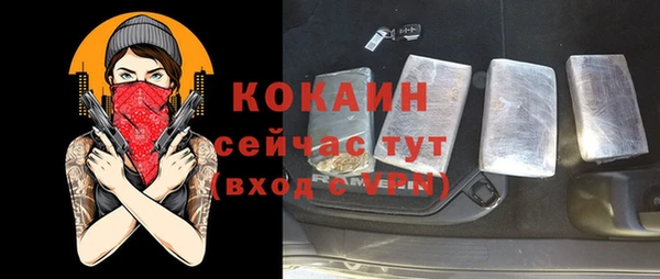 гидра Абаза