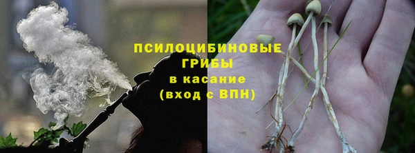 гидра Абаза