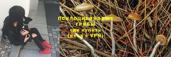 гидра Абаза