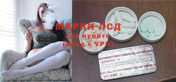гидра Абаза