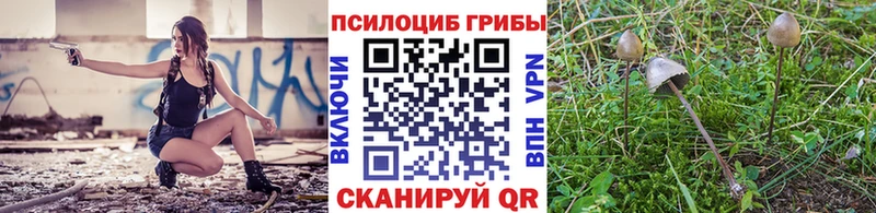 ссылка на мегу маркетплейс  цены наркотик  Пыталово  Галлюциногенные грибы Psilocybe 